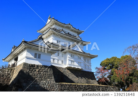 The castle tower stands out against the blue autumn sky 139251648