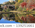Japanese garden in the late autumn 139251661