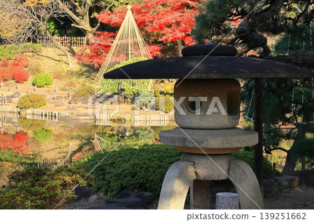 Japanese garden in the late autumn 139251662