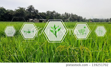 Icons of smart farming and agriculture technology overlaid on lush green rice field, symbolizing eco innovation, data-driven farming, and sustainable agriculture. Esg concept Icons of smart farming and agriculture technology overlaid on lush green rice field, symbolizing eco innovation, data-driven farming, and sustainable agriculture. Esg concept 139251702