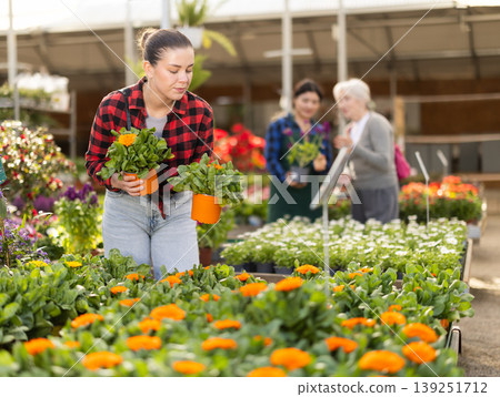 Young female customer near display case with calendula carefully selects pot with seedlings. Young female customer near display case with calendula carefully selects pot with seedlings. 139251712