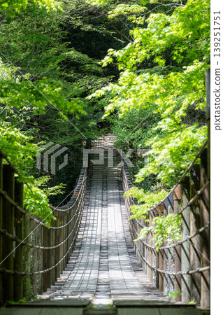 Fresh greenery in Hananuki Valley - Shiomi Falls Suspension Bridge Fresh greenery in Hananuki Valley - Shiomi Falls Suspension Bridge 139251751