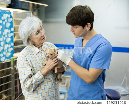 Guy veterinarian communicate with worried senior woman pet owner with Chihuahua in hands Guy veterinarian communicate with worried senior woman pet owner with Chihuahua in hands 139251918