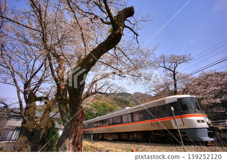 鹽之澤站的櫻花和特快列車藤川號。 139252120