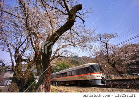 鹽之澤站的櫻花和特快列車藤川號。 鹽之澤站的櫻花和特快列車藤川號。 139252121