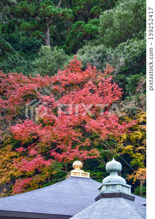 那智山青巖寺院內的秋葉 那智山青巖寺院內的秋葉 139252417