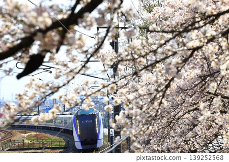 中央線列車飛馳穿過一片盛開的櫻花田。 中央線列車飛馳穿過一片盛開的櫻花田。 139252568