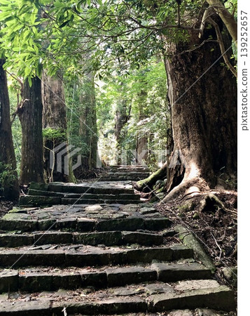 Daimonzaka Kumano Kodo Daimonzaka Kumano Kodo 139252657