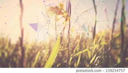 Glowing wildflower standing in golden hour meadow, with grass blades and faint network overlay Glowing wildflower standing in golden hour meadow, with grass blades and faint network overlay 139254757