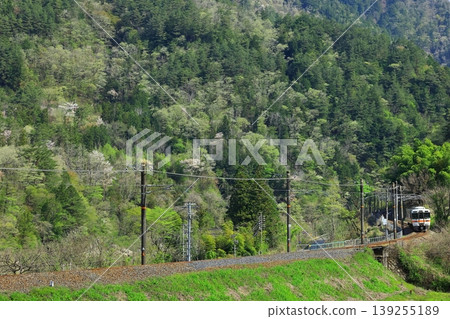 The Chuo Main Line runs through the lush green Kiso region. 139255189