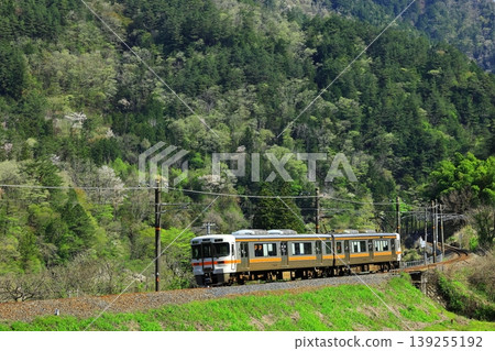 The Chuo Main Line runs through the lush green Kiso region. 139255192