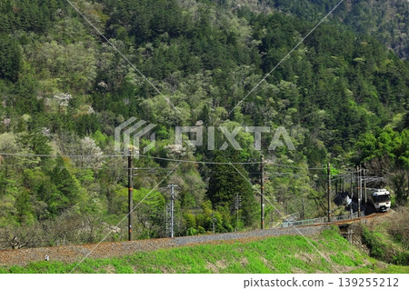 The Chuo Main Line runs through the lush green Kiso region. The Chuo Main Line runs through the lush green Kiso region. 139255212