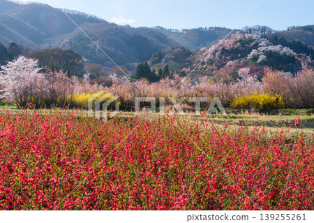 花田和山脈 花田和山脈 139255261