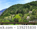The Chuo Main Line runs through the lush green Kiso region. 139255830
