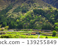 The Chuo Main Line runs through the lush green Kiso region. 139255849