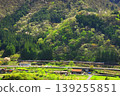 The Chuo Main Line runs through the lush green Kiso region. 139255851