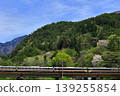 The Chuo Main Line runs through the lush green Kiso region. 139255854