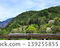 The Chuo Main Line runs through the lush green Kiso region. 139255855