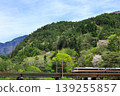 The Chuo Main Line runs through the lush green Kiso region. 139255857