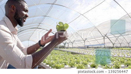 Farmer wearing shirt examining lettuce seedling in greenhouse, with hydroponic trays, copy space 139256447