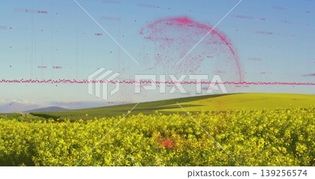 Covering farmland, yellow flowering crops extending toward green hills, with red data overlay Covering farmland, yellow flowering crops extending toward green hills, with red data overlay 139256574