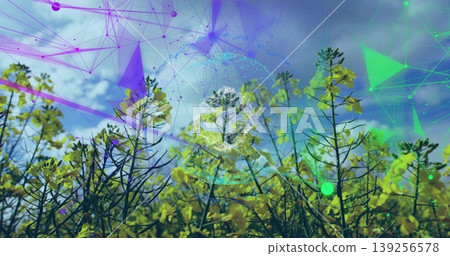 Displaying yellow-flowering crop filling farmland, with network featuring nodes and globe mesh Displaying yellow-flowering crop filling farmland, with network featuring nodes and globe mesh 139256578