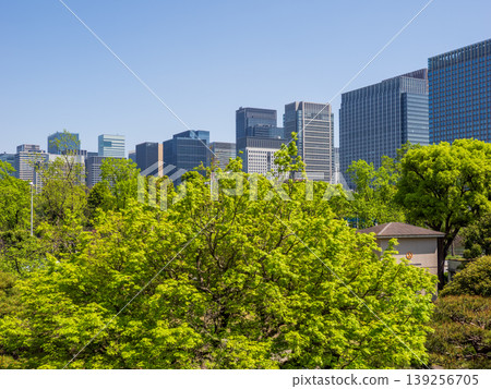 The Marunouchi skyline and clear blue sky as seen from Hibiya Park amidst the fresh greenery. 139256705