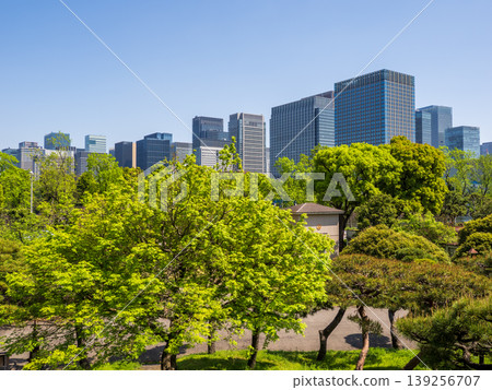 The Marunouchi skyline and clear blue sky as seen from Hibiya Park amidst the fresh greenery. 139256707