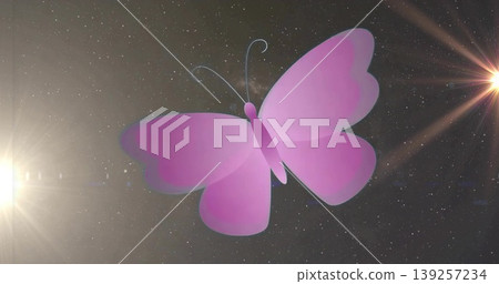 Floating stylized pink-purple butterfly against dark starry backdrop, with left and right flares 139257234
