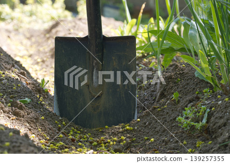 Shovel in a garden bed, ready for planting and cultivating the soil in the outdoors. Shovel in a garden bed, ready for planting and cultivating the soil in the outdoors. 139257355