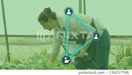 Denim-clad woman checking seedlings under shadecloth on metal benches in greenhouse, holding tablet Denim-clad woman checking seedlings under shadecloth on metal benches in greenhouse, holding tablet 139257766