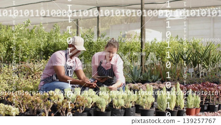 Nursery workers wearing aprons reviewing smartphone and tablet in greenhouse by succulent foliage Nursery workers wearing aprons reviewing smartphone and tablet in greenhouse by succulent foliage 139257767