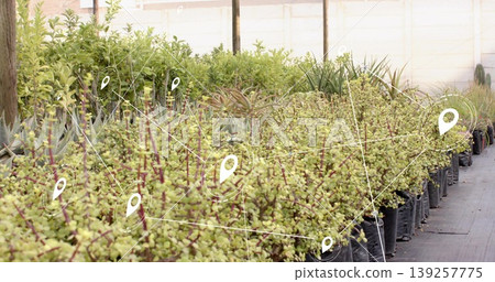 Showing potted green shrubs in black bags on gray ground in greenhouse, with location pin network Showing potted green shrubs in black bags on gray ground in greenhouse, with location pin network 139257775