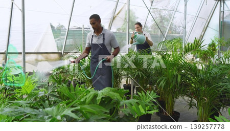 Watering gardener wearing grey polo and apron tending plants in greenhouse nursery, with green hose Watering gardener wearing grey polo and apron tending plants in greenhouse nursery, with green hose 139257778