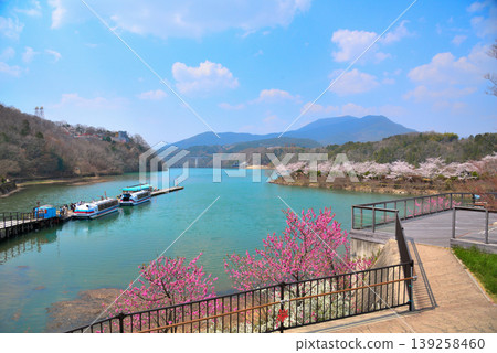 Enakyo Gorge in spring, Gifu Prefecture, with cherry blossoms in full bloom. Enakyo Gorge in spring, Gifu Prefecture, with cherry blossoms in full bloom. 139258460