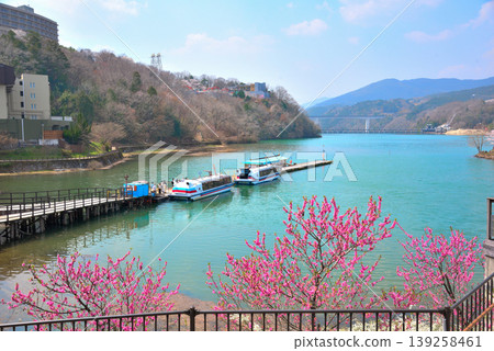 Enakyo Gorge in spring, Gifu Prefecture, with cherry blossoms in full bloom. Enakyo Gorge in spring, Gifu Prefecture, with cherry blossoms in full bloom. 139258461