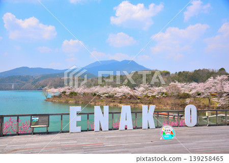 Enakyo Gorge in spring, Gifu Prefecture, with cherry blossoms in full bloom. Enakyo Gorge in spring, Gifu Prefecture, with cherry blossoms in full bloom. 139258465