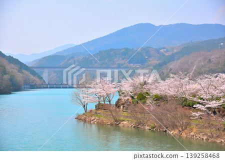 Enakyo Gorge in spring, Gifu Prefecture, with cherry blossoms in full bloom. Enakyo Gorge in spring, Gifu Prefecture, with cherry blossoms in full bloom. 139258468