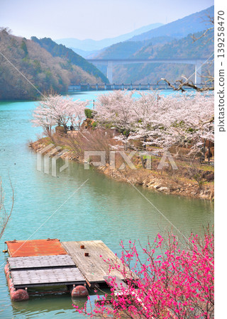 Enakyo Gorge in spring, Gifu Prefecture, with cherry blossoms in full bloom. Enakyo Gorge in spring, Gifu Prefecture, with cherry blossoms in full bloom. 139258470