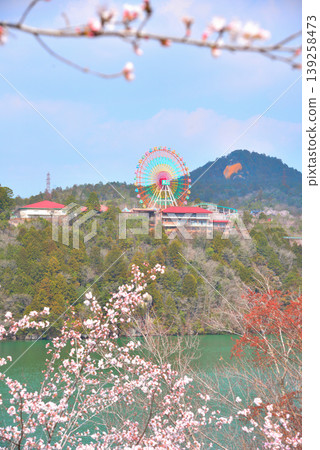 Enakyo Gorge in spring, Gifu Prefecture, with cherry blossoms in full bloom. Enakyo Gorge in spring, Gifu Prefecture, with cherry blossoms in full bloom. 139258473
