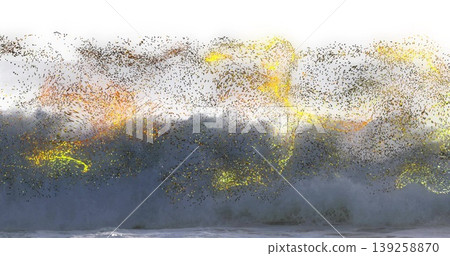 Swirling flock of starlings forming murmuration above cresting wave at shoreline with gold sunlight 139258870