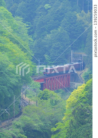 The Nankai Koya Line's GRAN Tenku train crosses a red bridge in the mountains and enters a tunnel [Wakayama Prefecture] 139259033