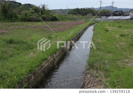 岡山縣加賀野町的風景 139259118