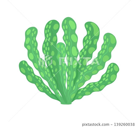 Aquarium water landscape green wavy seaweed plant. Coral reef underwater algae leaf, ocean life undersea isolated vector plant. Aquarium landscape aquatic seaweed or tropical sea water flora Aquarium water landscape green wavy seaweed plant. Coral reef underwater algae leaf, ocean life undersea isolated vector plant. Aquarium landscape aquatic seaweed or tropical sea water flora 139260038