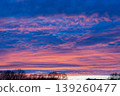 Stunning twilight sky with pink cirrus clouds over tree silhouettes 139260477