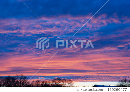 Stunning twilight sky with pink cirrus clouds over tree silhouettes 139260477