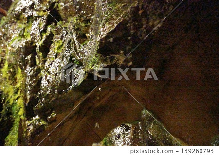 Droplets of water dripping inside the Nippara Limestone Cave Droplets of water dripping inside the Nippara Limestone Cave 139260793