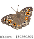 Brown butterfly realistic illustration with detailed wings 139260805