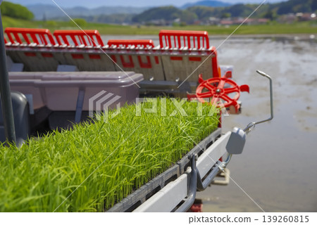 Scenes of rice planting work in rice paddies during the rice growing season. Scenes of rice planting work in rice paddies during the rice growing season. 139260815