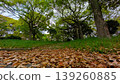 Road of fallen leaves 139260885